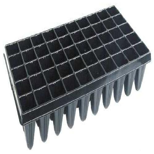 full image  50 CELL (TS) 