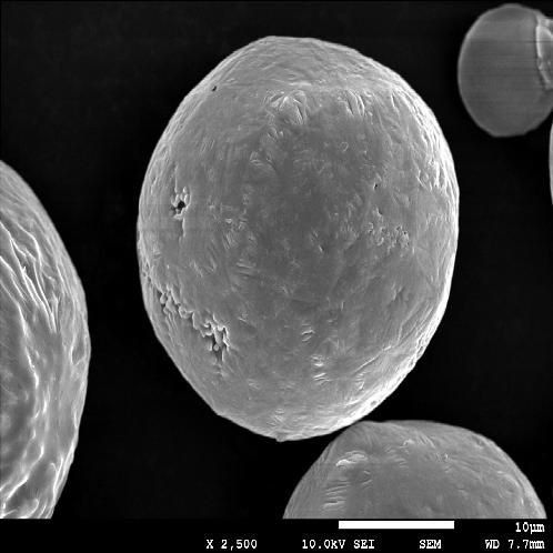 full image 3D Printing Metal Powder