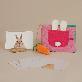 detail image2 Peekaby Play Kit (3-4 months): Stage-based Montessori Baby Toy Set for Child Development