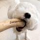 detail image5 Chew Chew Woodstick L